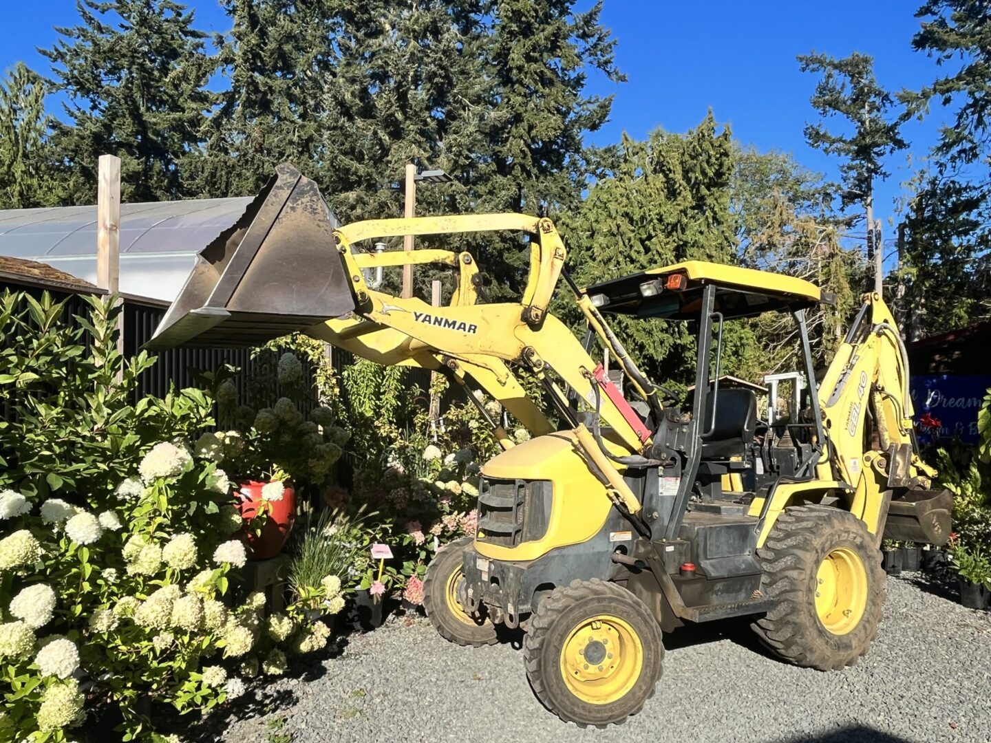 Backhoe excavator