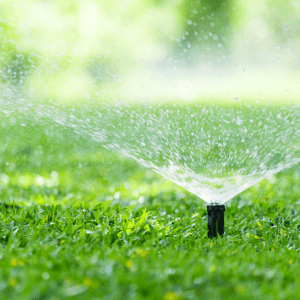 Irrigation pipe with water